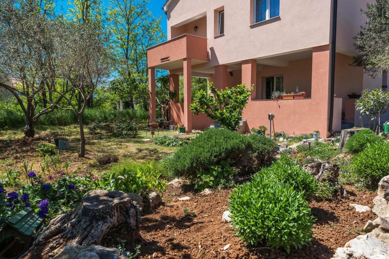 Apartman Micko Привлака Экстерьер фото